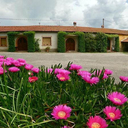 Agriturismo Monte Alzato Капалбио Екстериор снимка