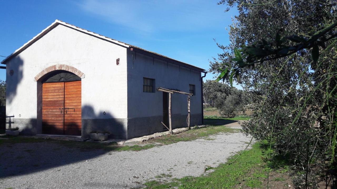 Agriturismo Monte Alzato Капалбио Екстериор снимка