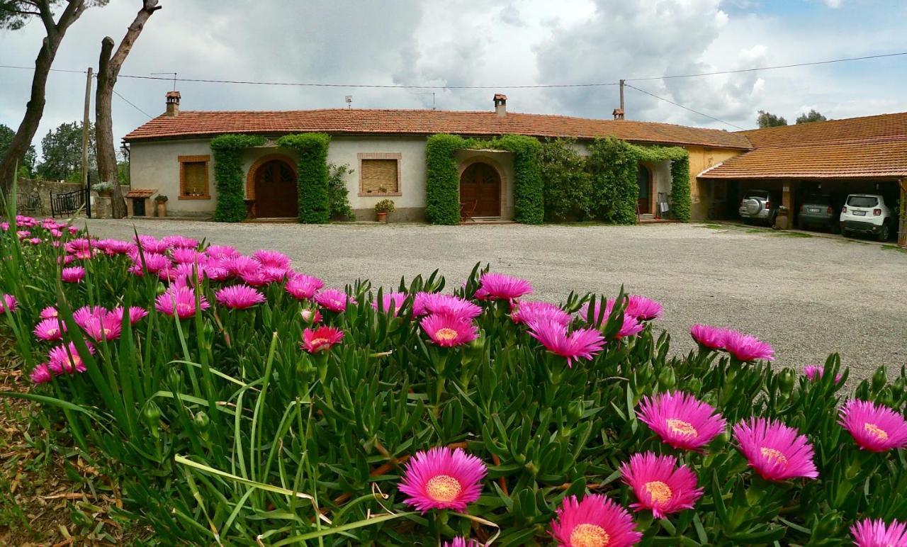 Agriturismo Monte Alzato Капалбио Екстериор снимка