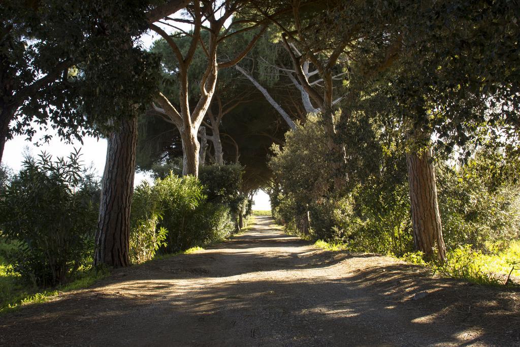 Agriturismo Monte Alzato Капалбио Екстериор снимка