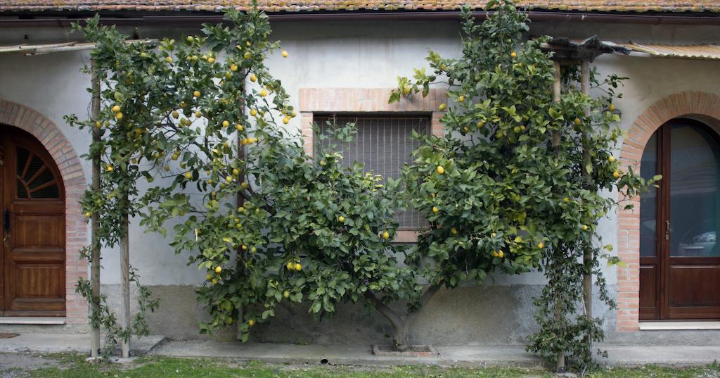 Agriturismo Monte Alzato Капалбио Стая снимка